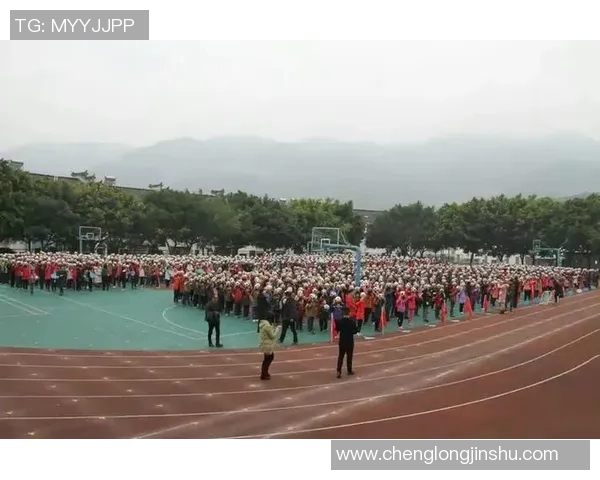 火柴人足球明星激情庆祝瞬间展现运动魅力与团队精神