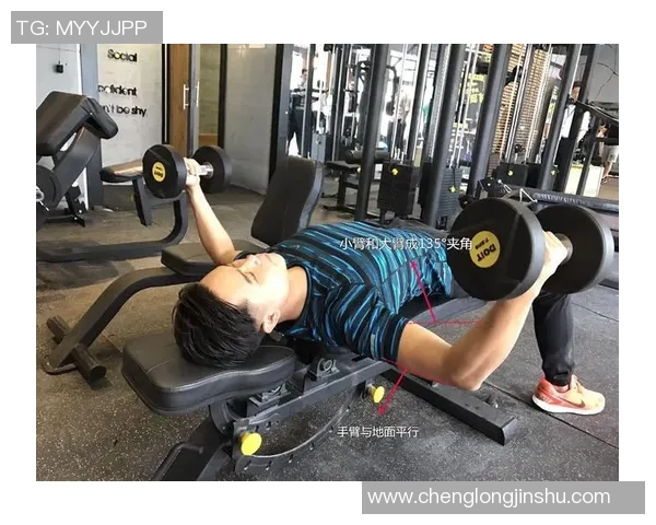 平板哑铃飞鸟训练技巧与最佳角度解析助你塑造完美胸肌